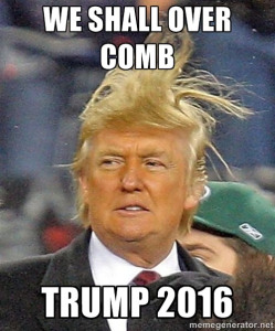 Donald Trump hair meme