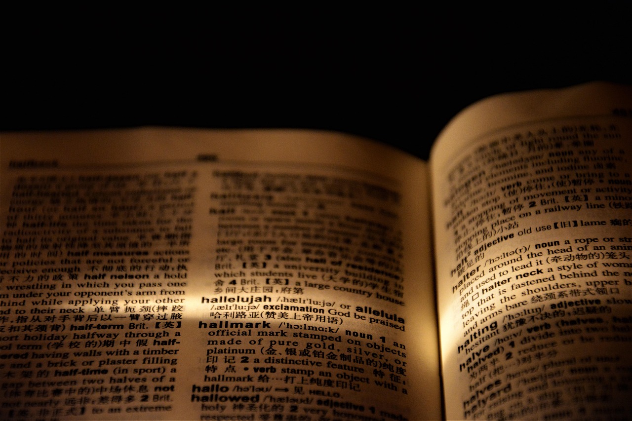 The word hallelujah highlighted in a dictionary