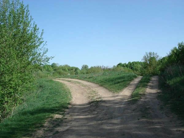 A sandy path surrounded by grass divides into two different directions